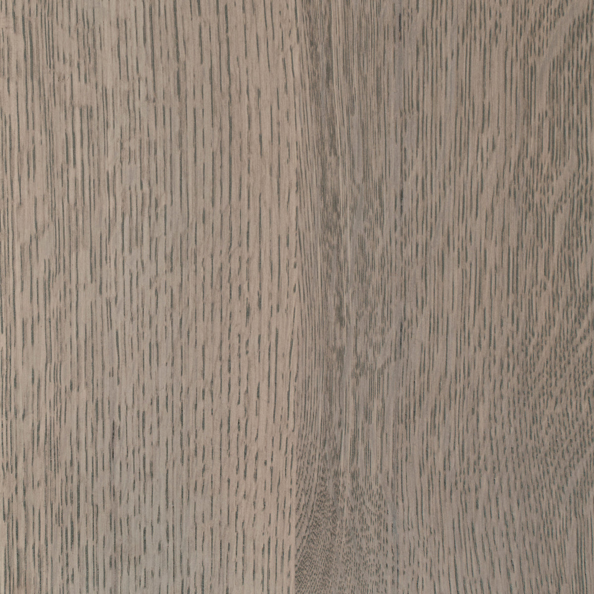 Ashen Oak