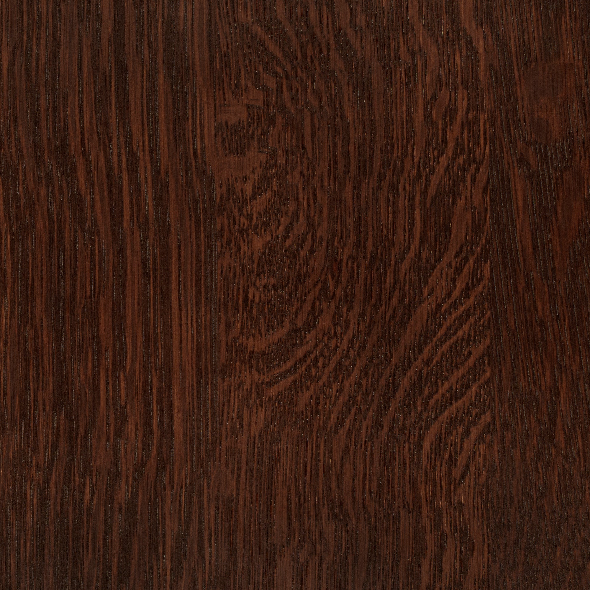 Chocolate Oak