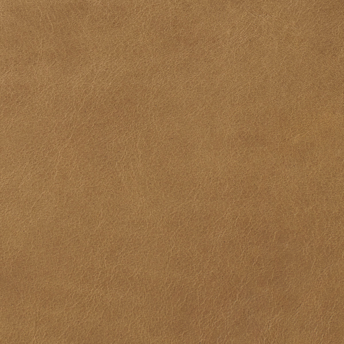 Nutmeg - Costa Leather