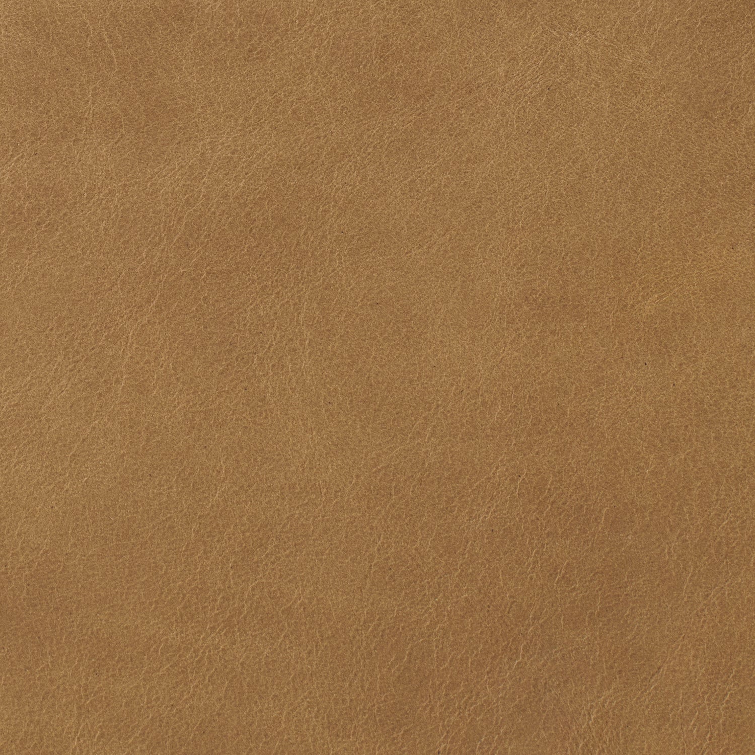 Nutmeg - Costa Leather