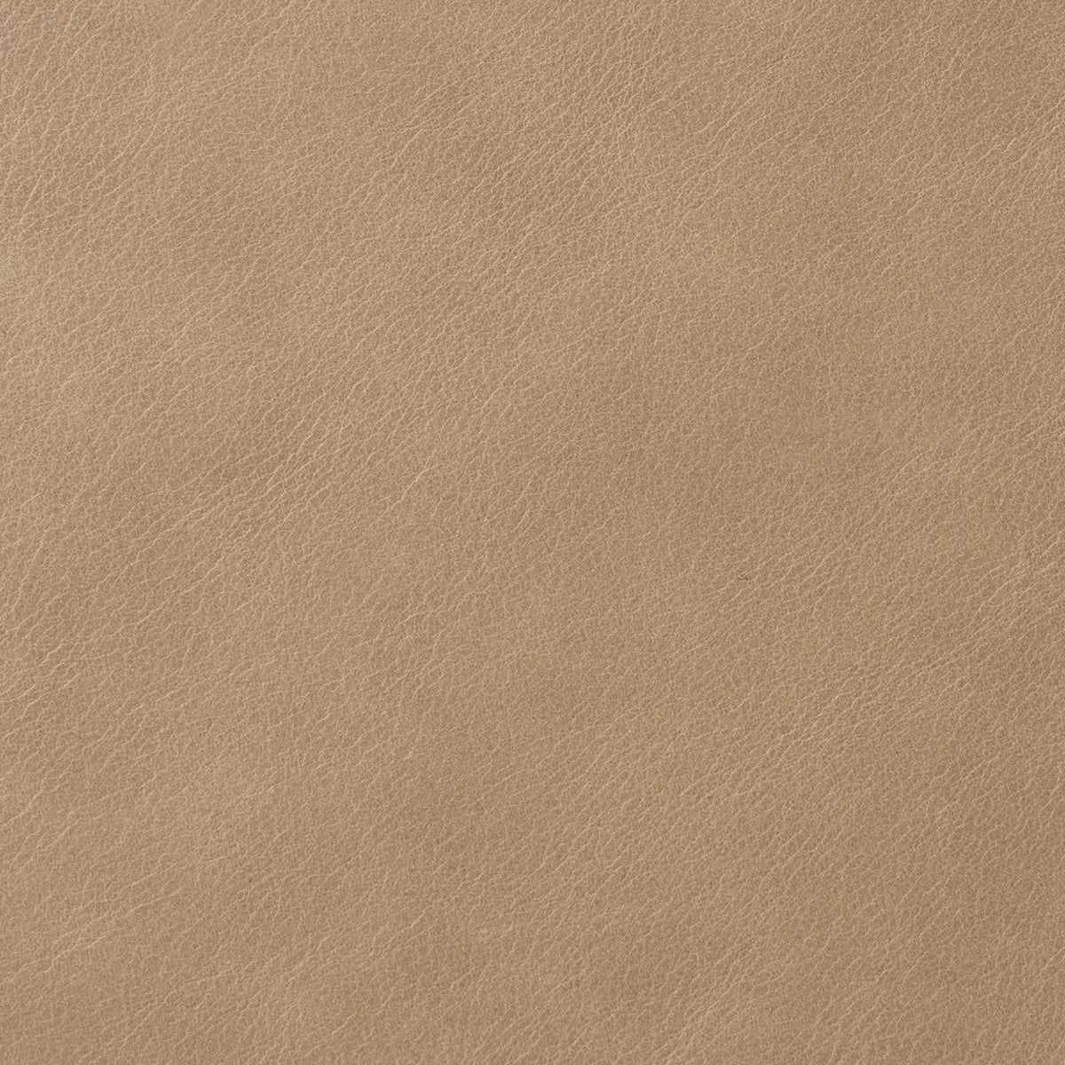 Ridge - Costa Leather