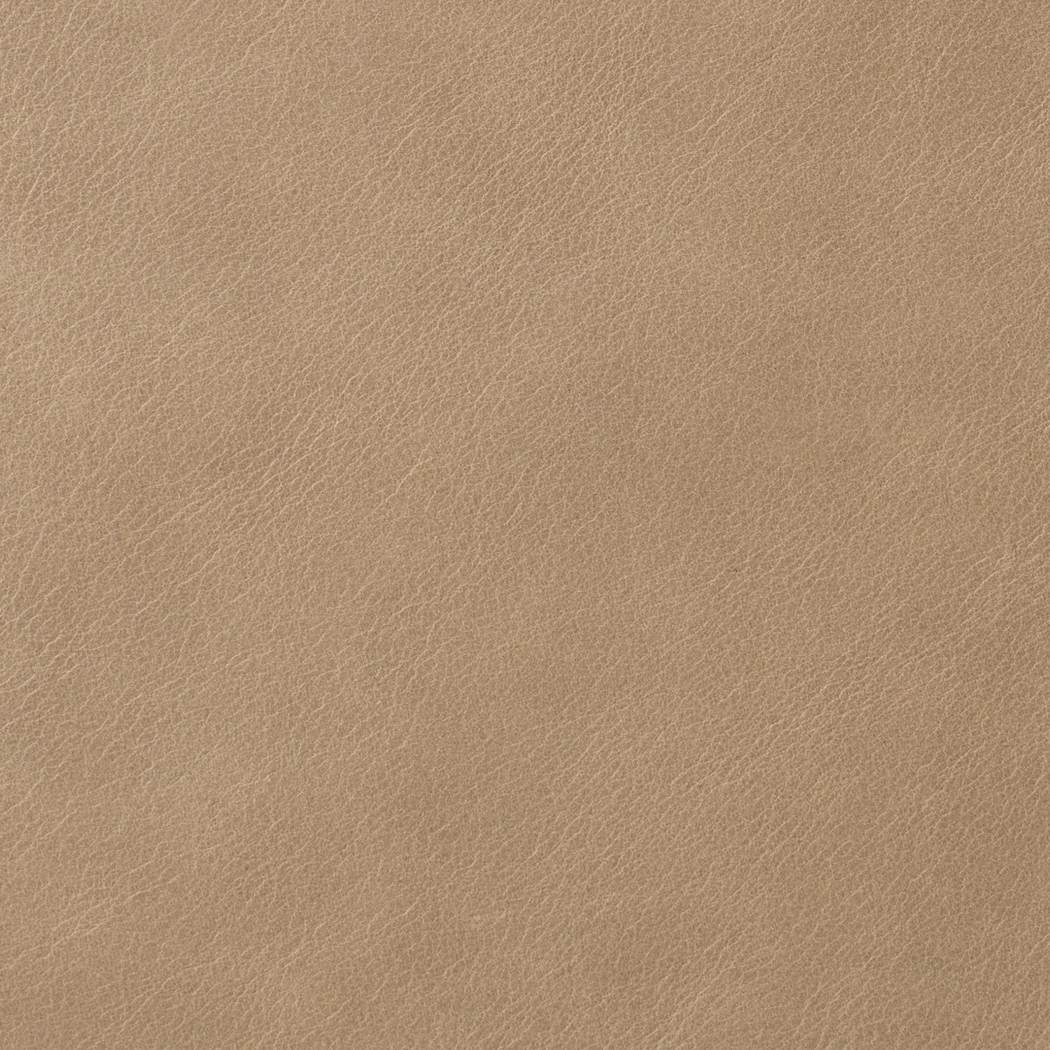 Ridge - Costa Leather
