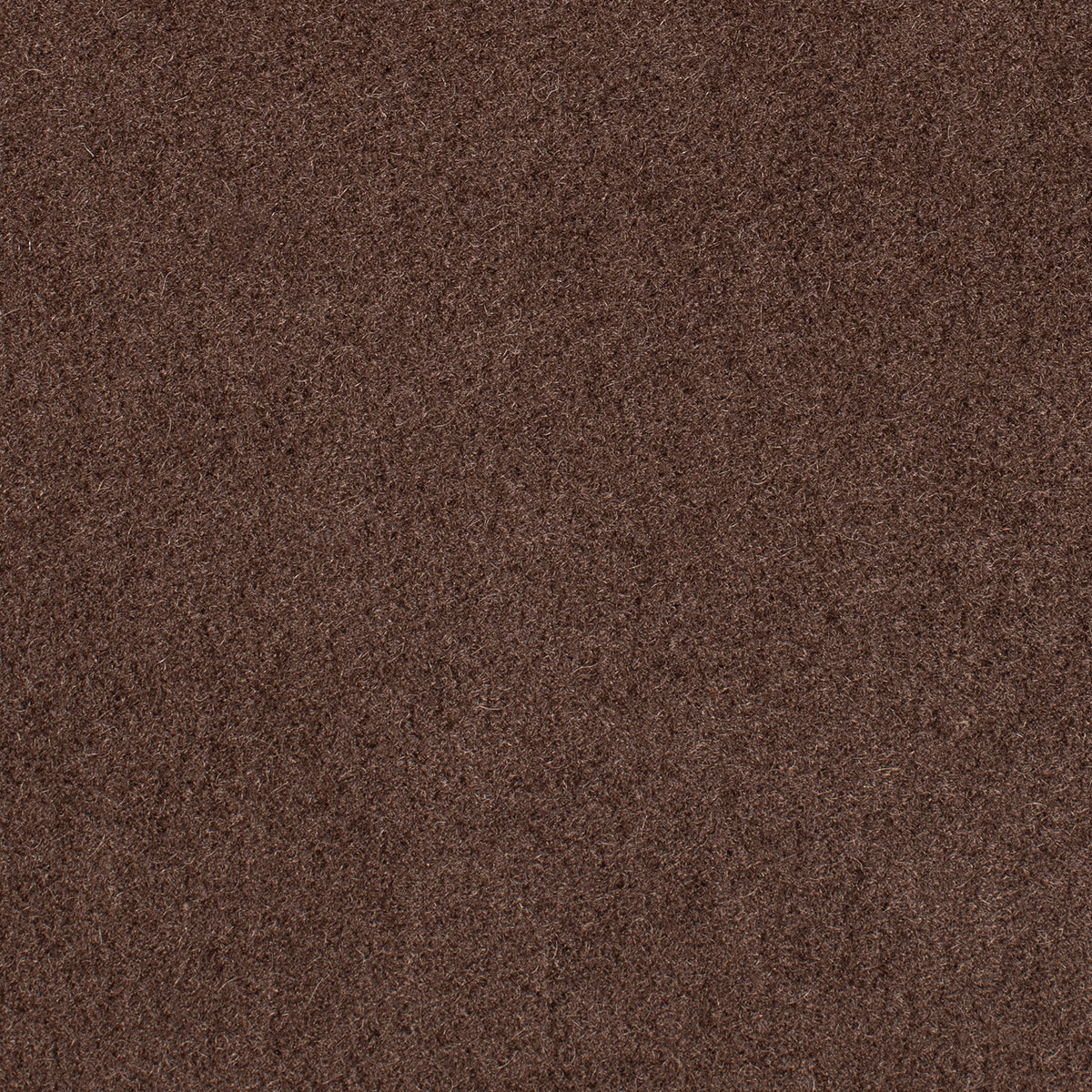 Molasses - Marled Alpaca Velvet