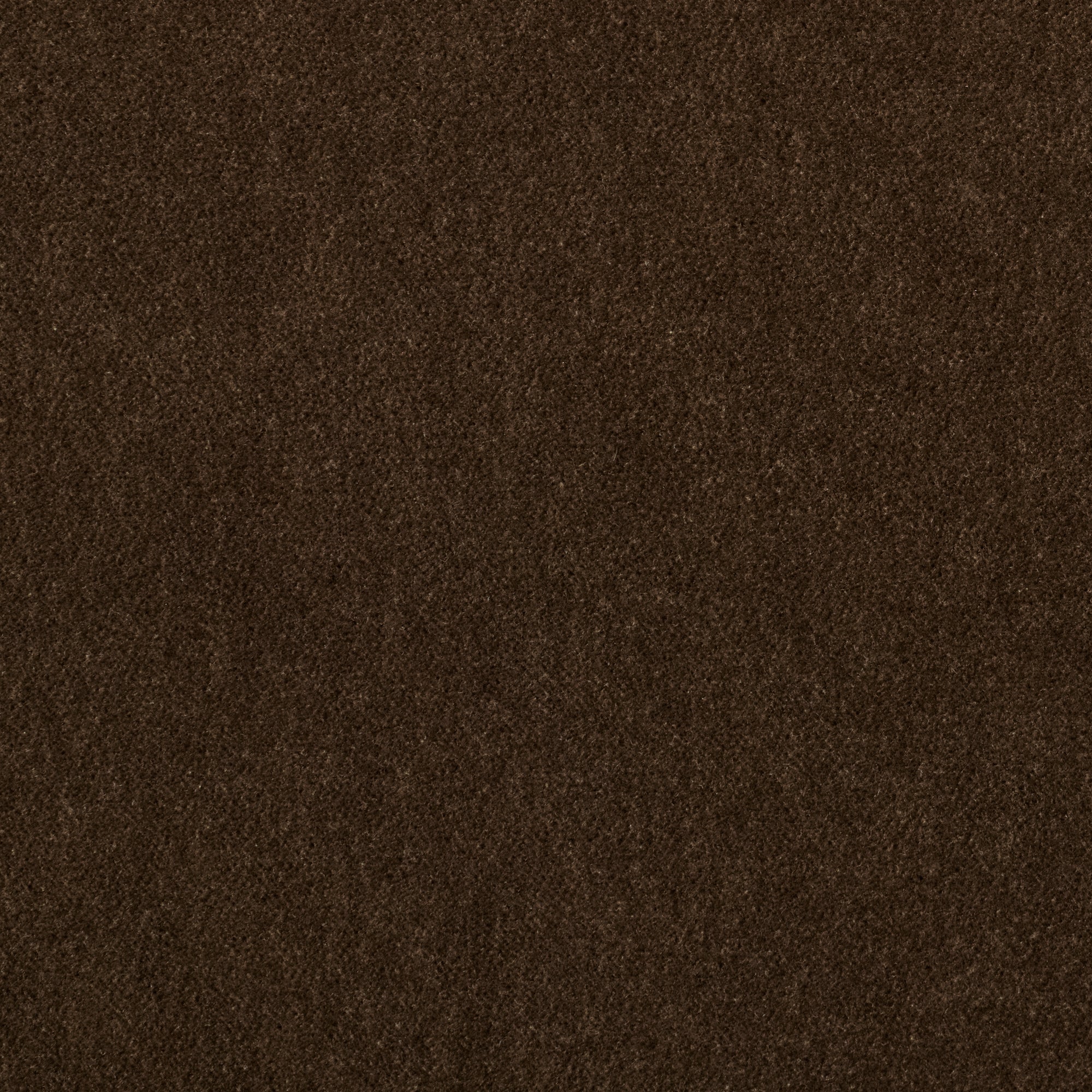 Bark - Performance Velvet