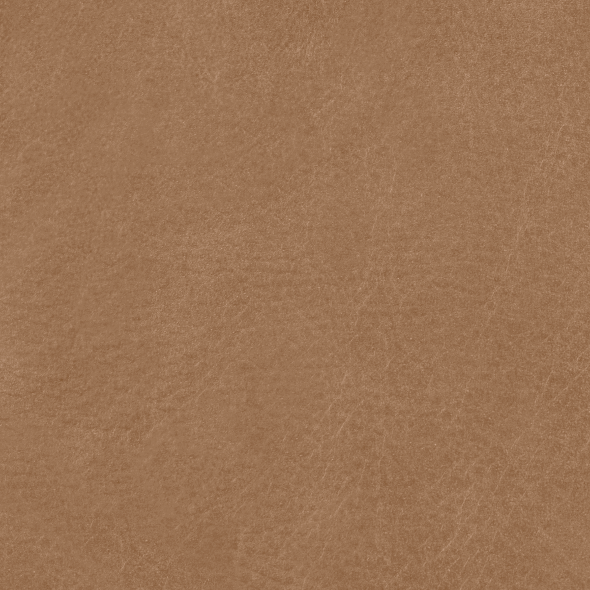 Camel - Tuscan Leather