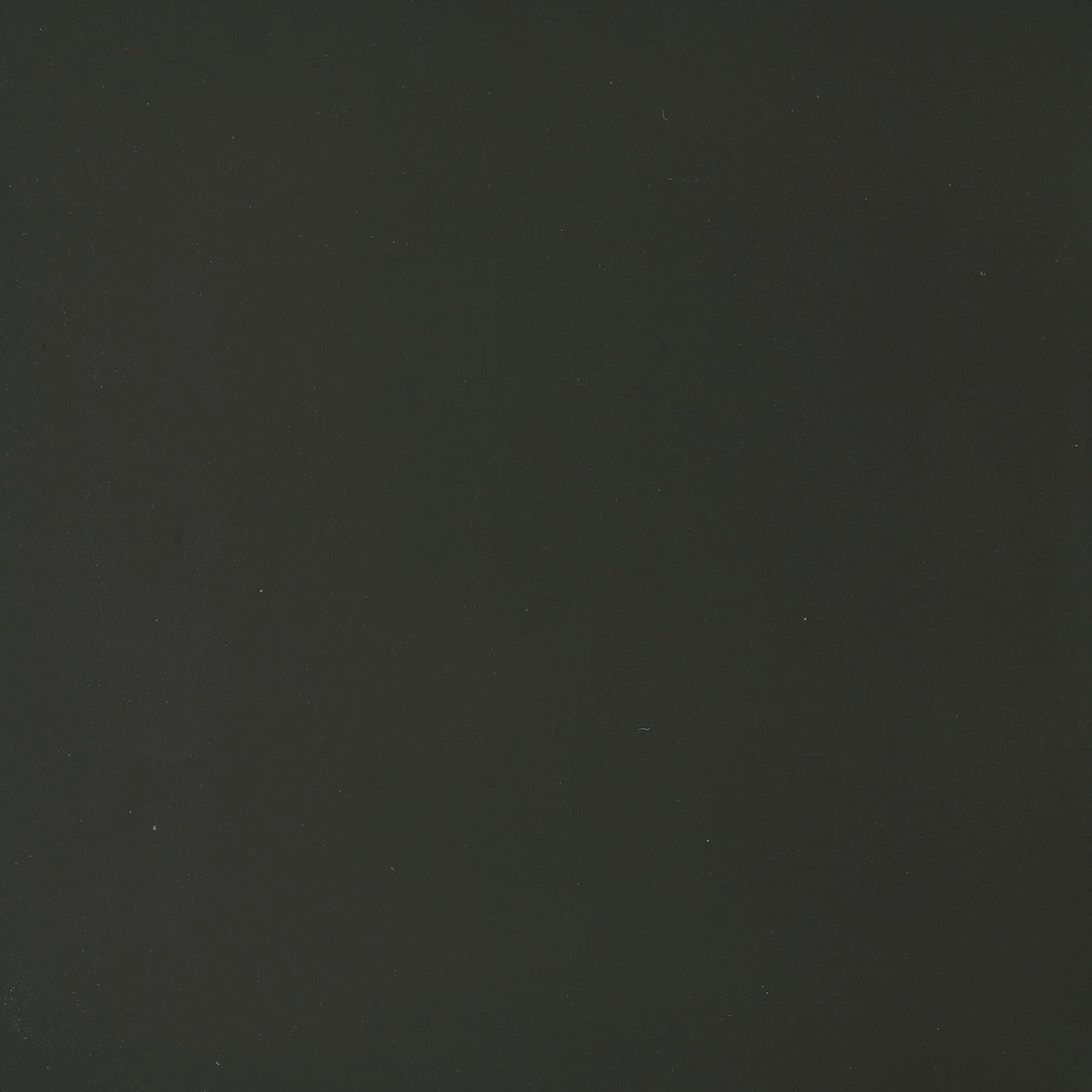 Fir Lacquer