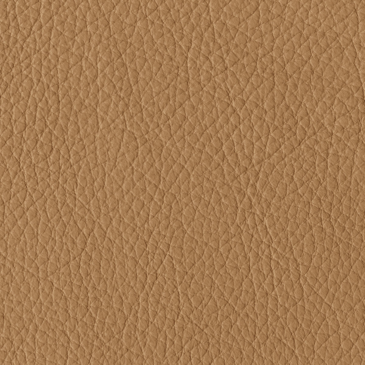 Latte - Pebbled Leather