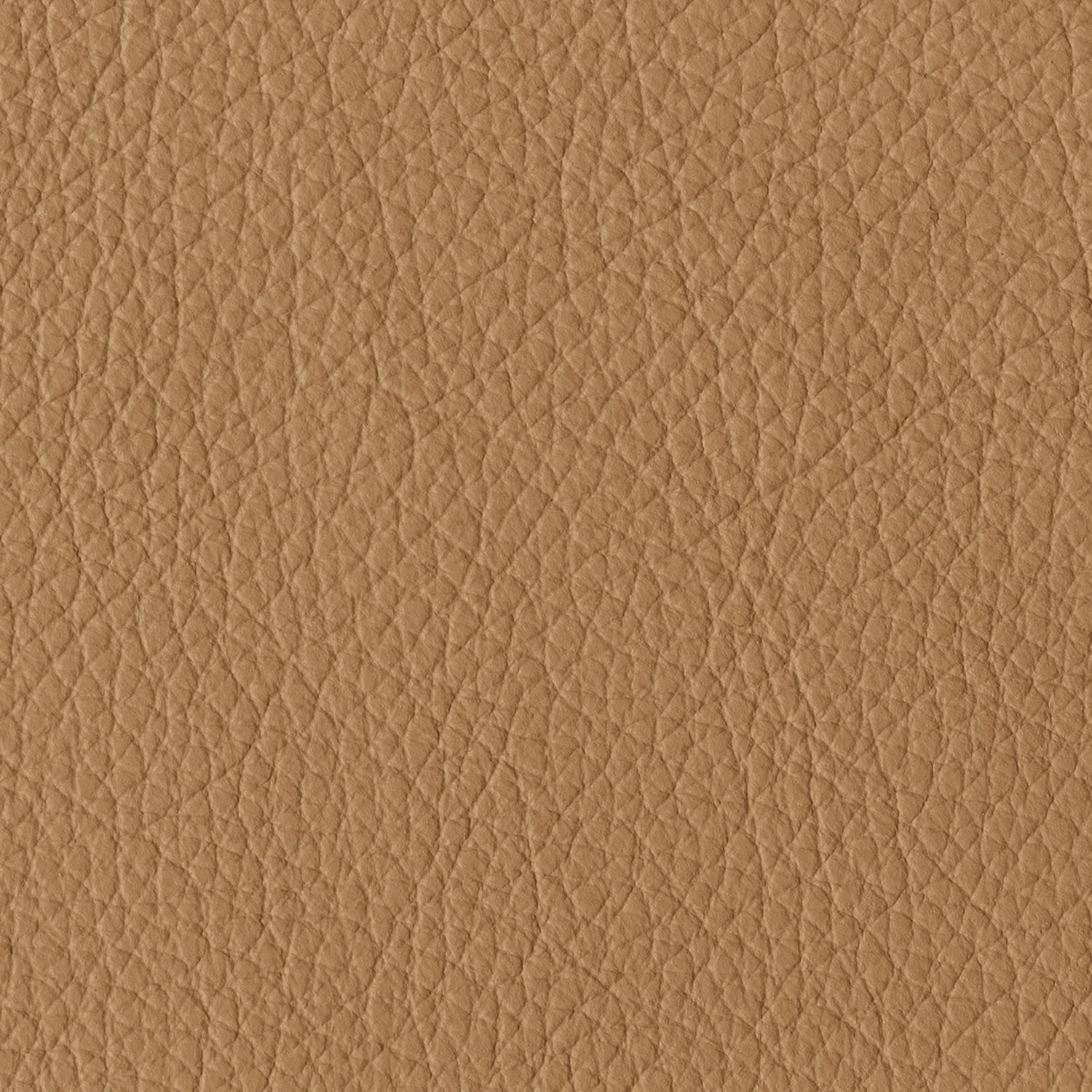 Latte - Pebbled Leather