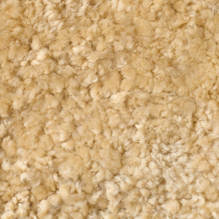 Swatch of Shearling Toffee