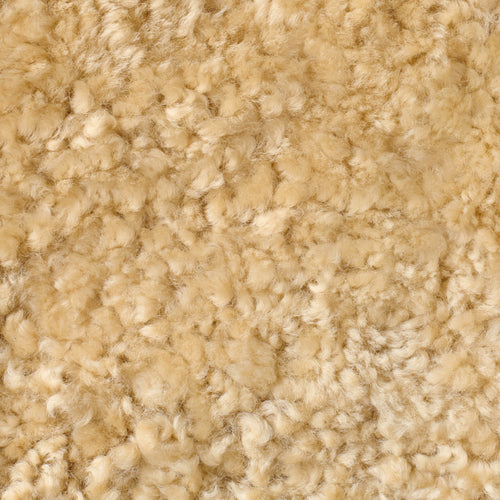 Toffee - Shearling