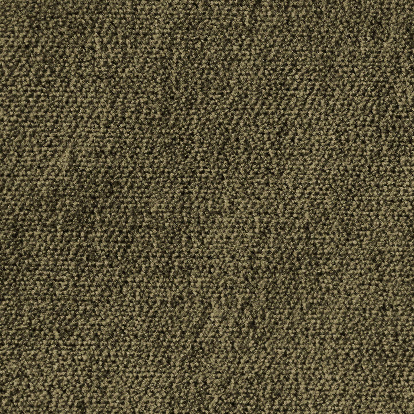 Olive - Performance Velvet